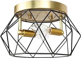 Vintage Brass Metal Cage Light Fixture, Modern Flush Mount Ceiling Light, 2-Light Industrial Ceiling Light in Matte Black Finish for Kitchen, Hallway