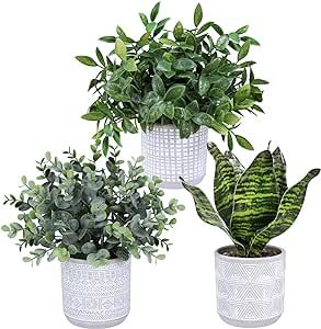 Set of 3 Small Potted Plants Faux Eucalyptus Plants and Tropical Snake Plant in Geometric Gray Pots for Modern Bathroom Office Table Shelf Windowsill Home Indoor Outdoor Green Decor