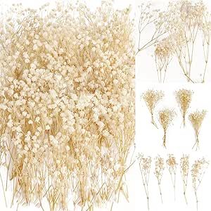 50Pcs Mini Dried Baby's Breath Flowers for Resin Art Craft DIY, 3000+ Natural Ivory White Bulk Flowers, Pressed Gypsophila Bouquet Gift for Valentine's Day, Wedding Wreath, Card Making, Home Decor