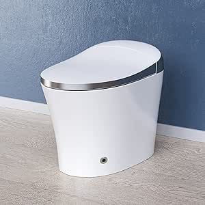 HOROW Luxury Smart Toilet, Heated Bidet with Dryer and Warm Water, Bidet Toilet with Heated Seat, Auto Close Toilet Seat, Modern Tankless Toilet with Remote Control, Night Light, White